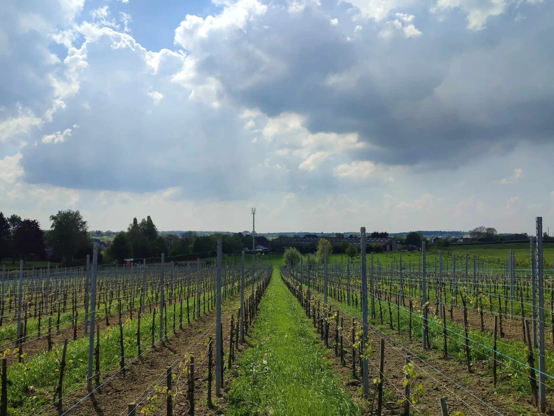Vignoble du Garde Loup